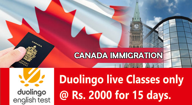 Duolingo Online Classes